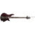 Schecter SGR C-4 BASS WSN - фото 1