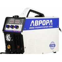 Аврора Динамика 165 Синергетик Пульс