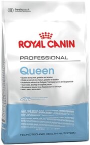 Royal Canin Queen фото